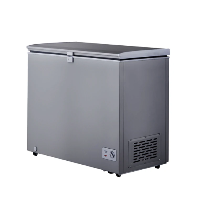 ESODORA 300LITERS FREEZER